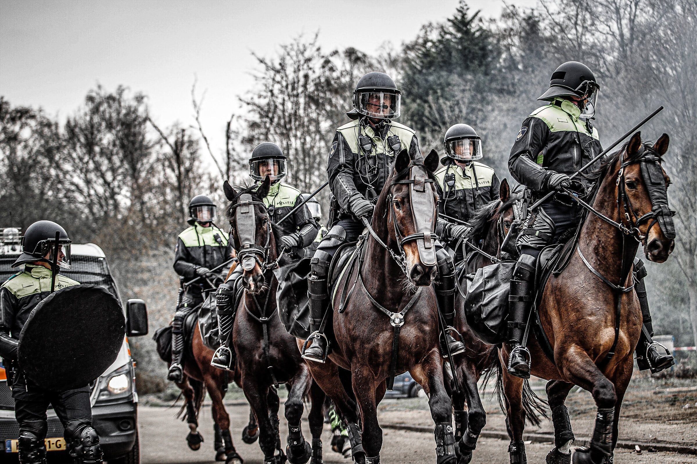 Berittene Polizei im Einsatztraining